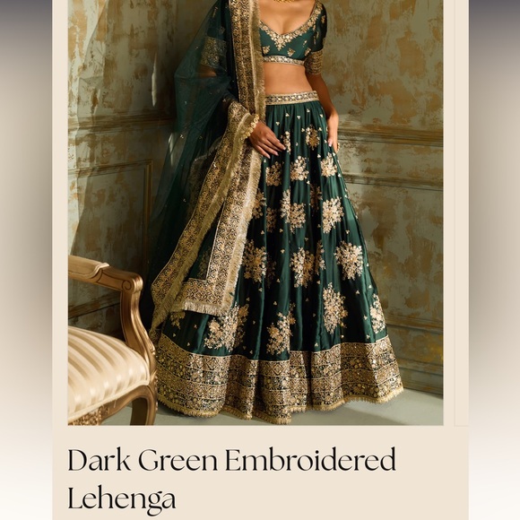 Dark Green Embroidered Lehnga - Picture 2 of 2